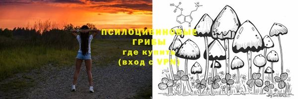 MESCALINE Горняк